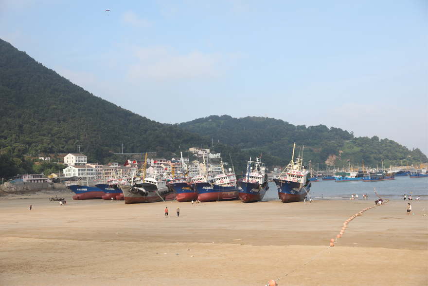 海岸整治修复团队__黄金海岸董事长